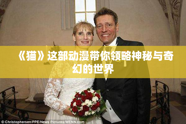 《猫》这部动漫带你领略神秘与奇幻的世界