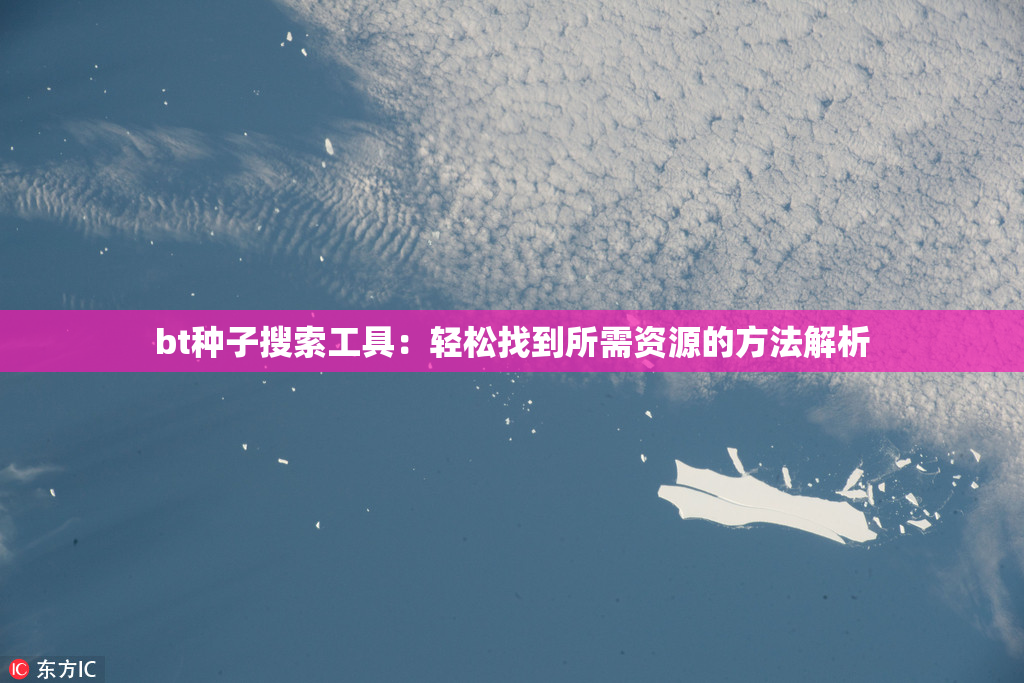 bt种子搜索工具：轻松找到所需资源的方法解析