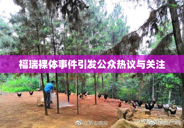 福瑞裸体事件引发公众热议与关注