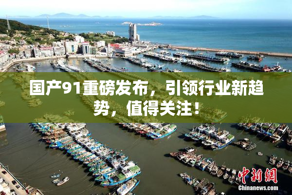 国产91重磅发布，引领行业新趋势，值得关注！