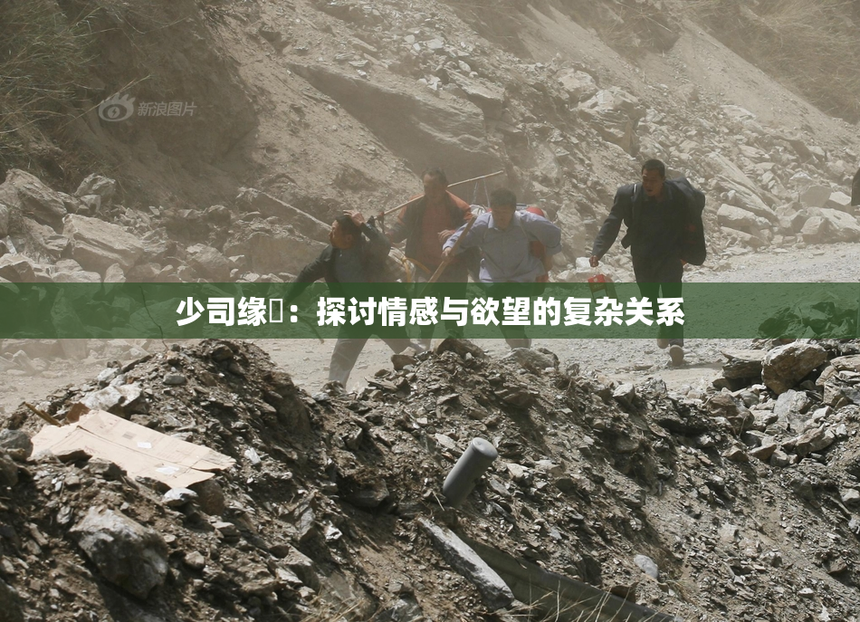 少司缘婬：探讨情感与欲望的复杂关系