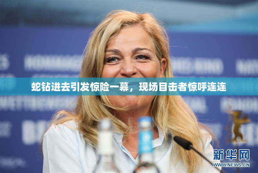 蛇钻进去引发惊险一幕，现场目击者惊呼连连