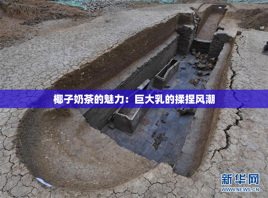 椰子奶茶的魅力：巨大乳的揉捏风潮