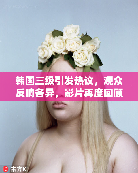 韩国三级引发热议，观众反响各异，影片再度回顾