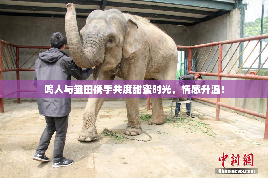 鸣人与雏田携手共度甜蜜时光，情感升温！