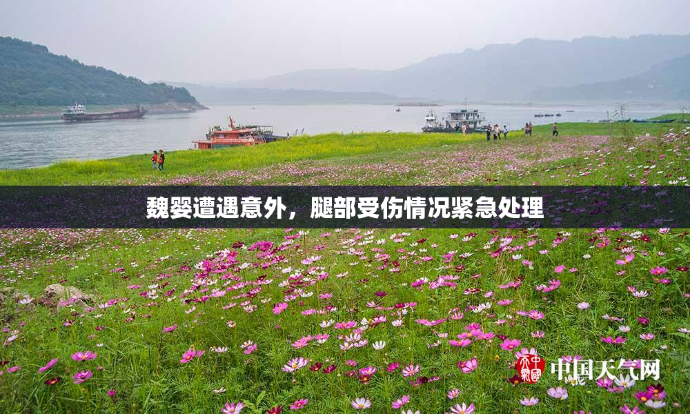 魏婴遭遇意外，腿部受伤情况紧急处理