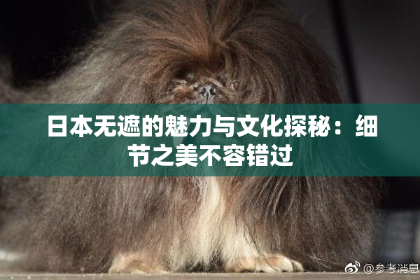 日本无遮的魅力与文化探秘：细节之美不容错过