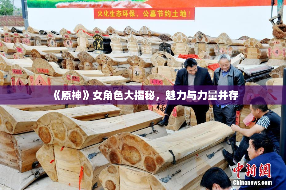 《原神》女角色大揭秘，魅力与力量并存