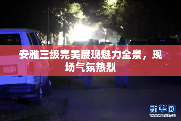 安雅三级完美展现魅力全景，现场气氛热烈