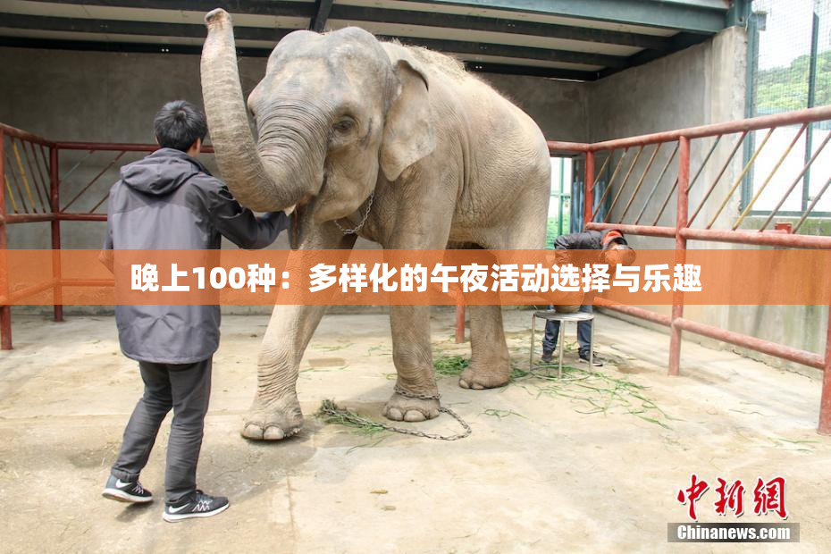 晚上100种：多样化的午夜活动选择与乐趣