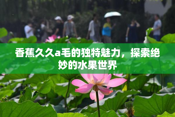 香蕉久久a毛的独特魅力，探索绝妙的水果世界