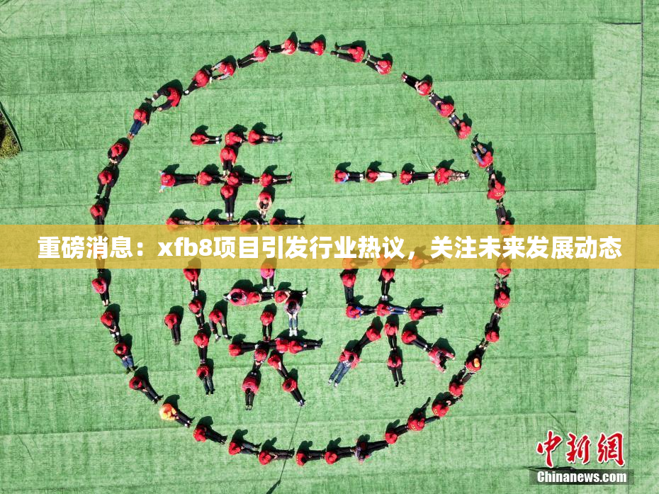 重磅消息：xfb8项目引发行业热议，关注未来发展动态