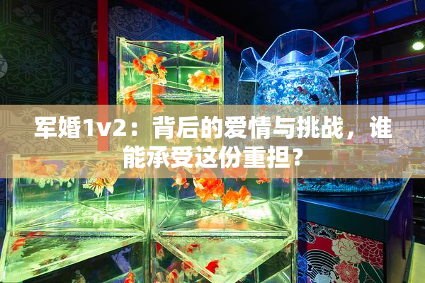 军婚1v2：背后的爱情与挑战，谁能承受这份重担？
