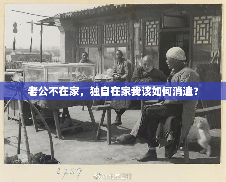 老公不在家，独自在家我该如何消遣？