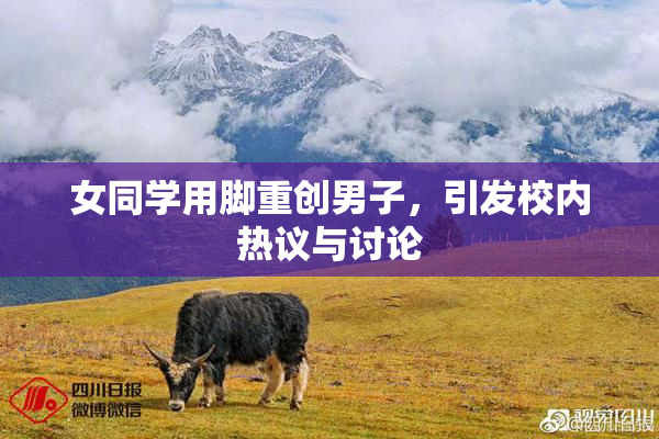 女同学用脚重创男子，引发校内热议与讨论