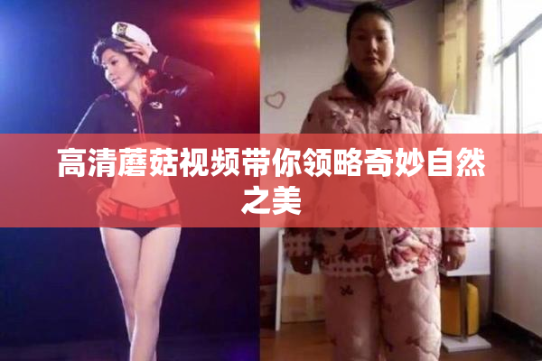 高清蘑菇视频带你领略奇妙自然之美