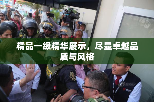 精品一级精华展示，尽显卓越品质与风格