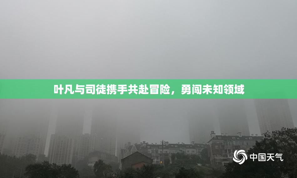 叶凡与司徒携手共赴冒险，勇闯未知领域