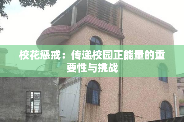 校花惩戒：传递校园正能量的重要性与挑战