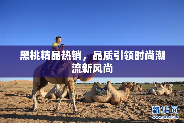 黑桃精品热销，品质引领时尚潮流新风尚