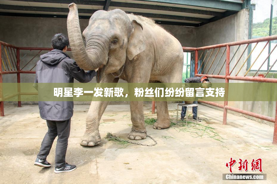 明星李一发新歌，粉丝们纷纷留言支持