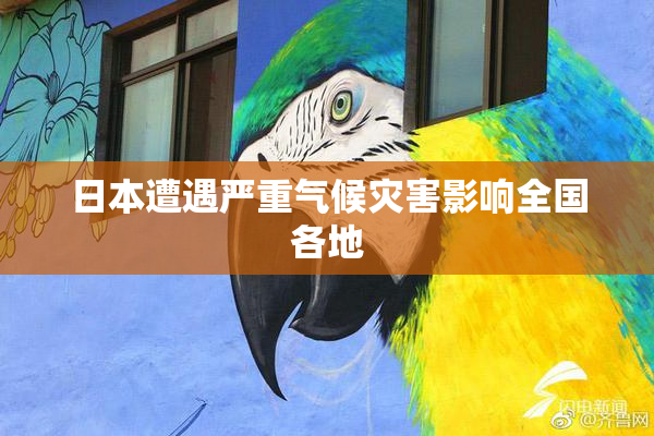 日本遭遇严重气候灾害影响全国各地