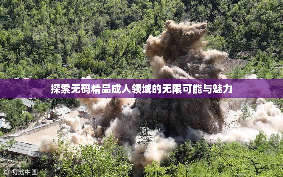 探索无码精品成人领域的无限可能与魅力