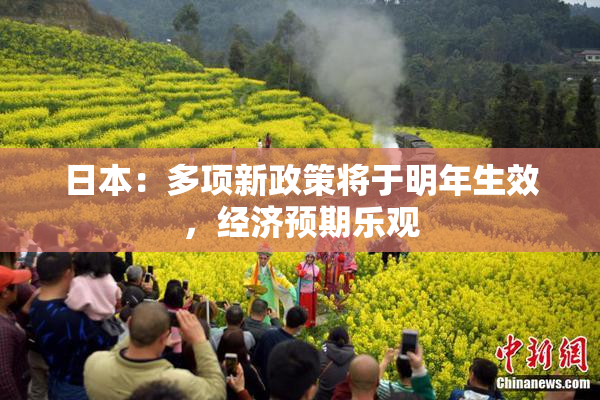 日本：多项新政策将于明年生效，经济预期乐观