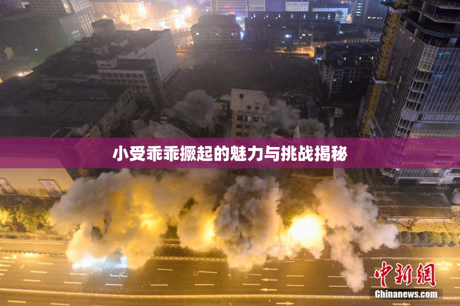 小受乖乖撅起的魅力与挑战揭秘