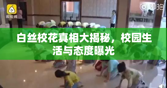白丝校花真相大揭秘，校园生活与态度曝光