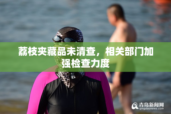 荔枝夹藏品未清查，相关部门加强检查力度