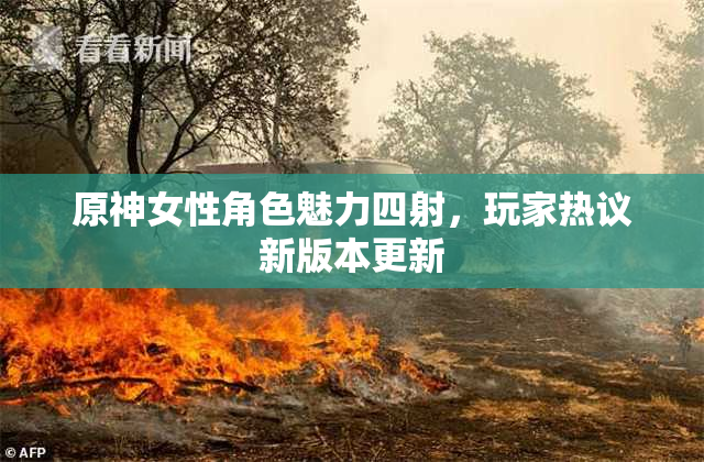 原神女性角色魅力四射，玩家热议新版本更新