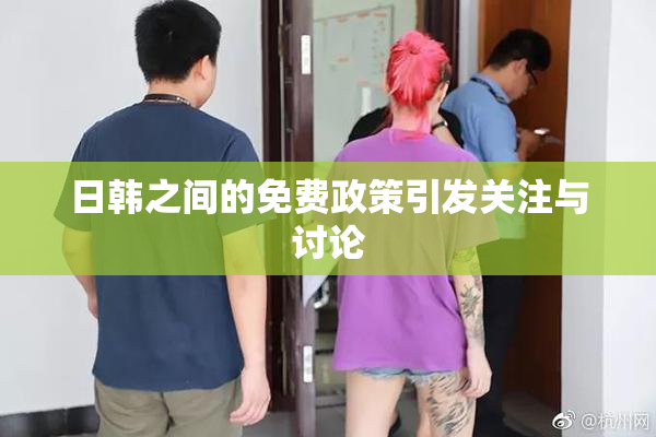 日韩之间的免费政策引发关注与讨论