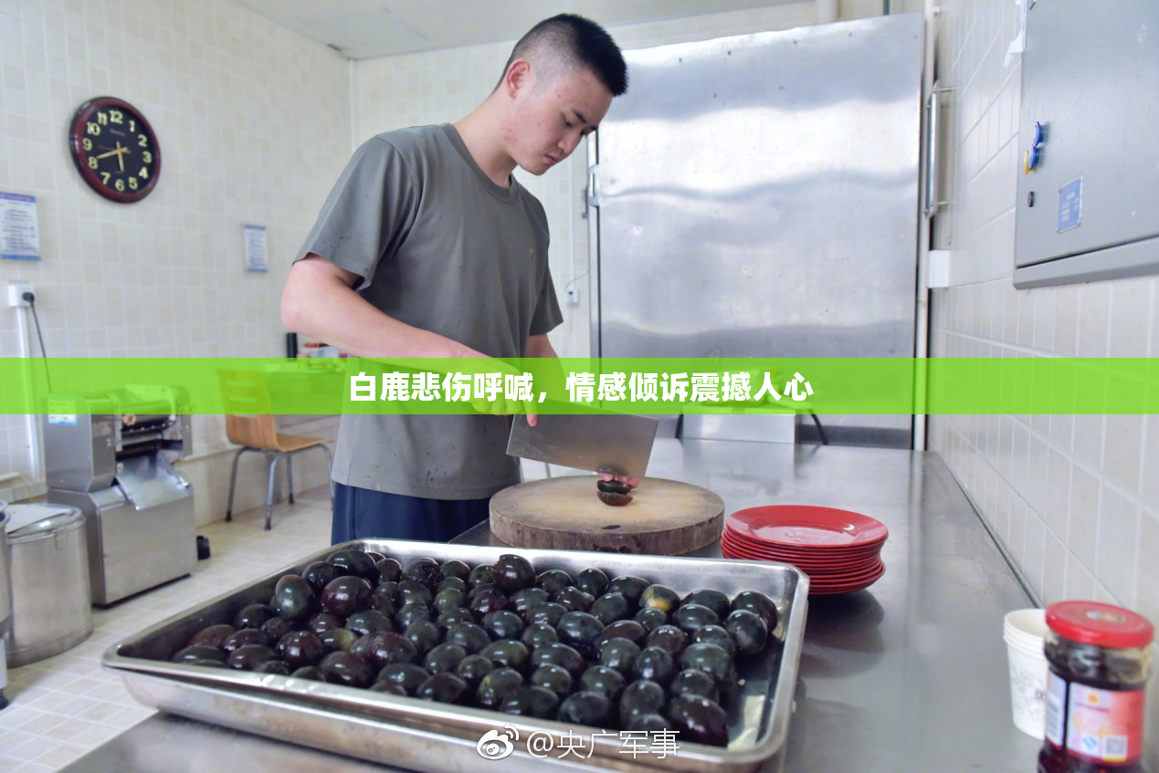 白鹿悲伤呼喊，情感倾诉震撼人心