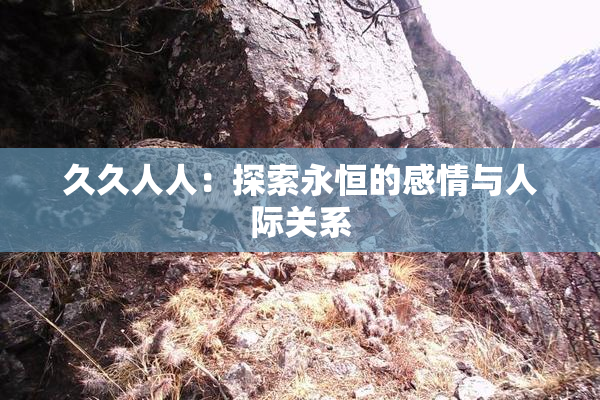 久久人人：探索永恒的感情与人际关系
