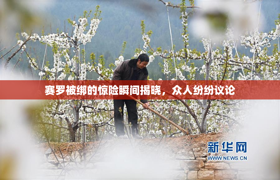 赛罗被绑的惊险瞬间揭晓，众人纷纷议论