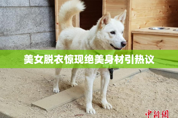 美女脱衣惊现绝美身材引热议