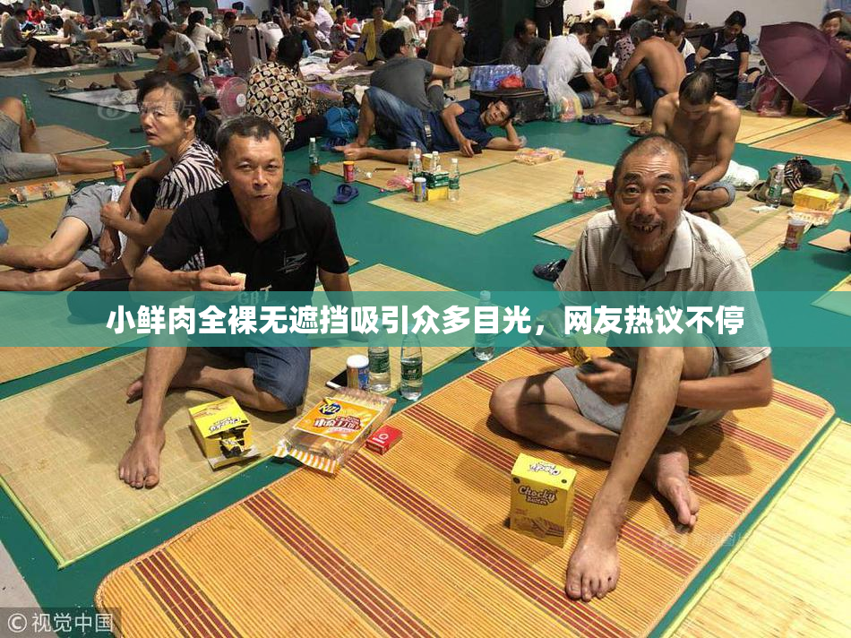 小鲜肉全裸无遮挡吸引众多目光，网友热议不停