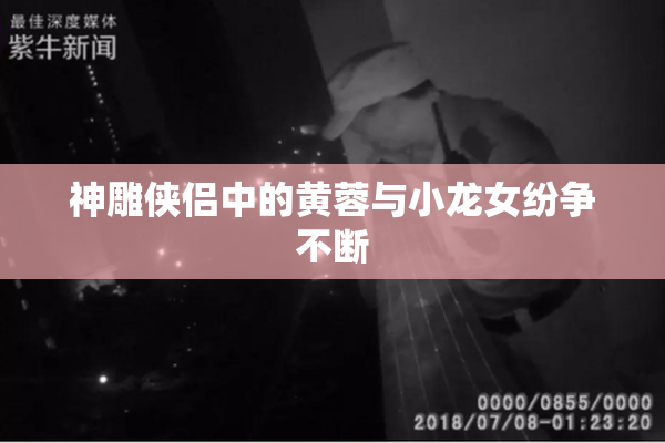 神雕侠侣中的黄蓉与小龙女纷争不断