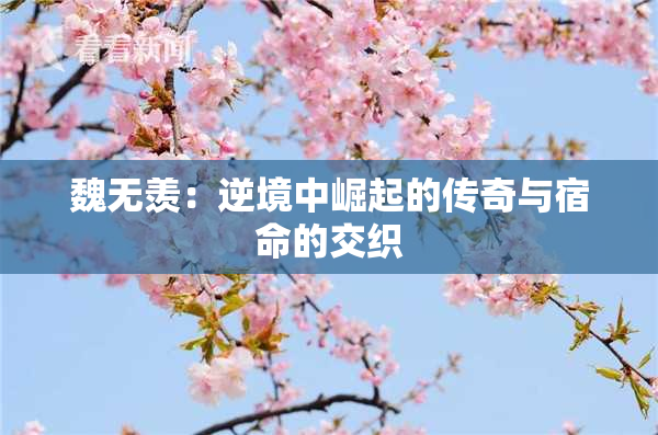 魏无羡：逆境中崛起的传奇与宿命的交织