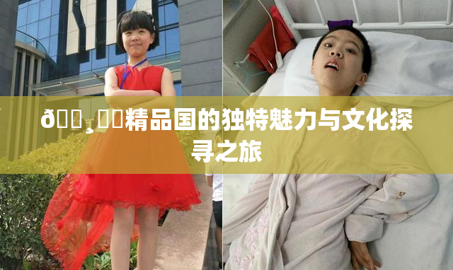 🌸‌✿精品国的独特魅力与文化探寻之旅