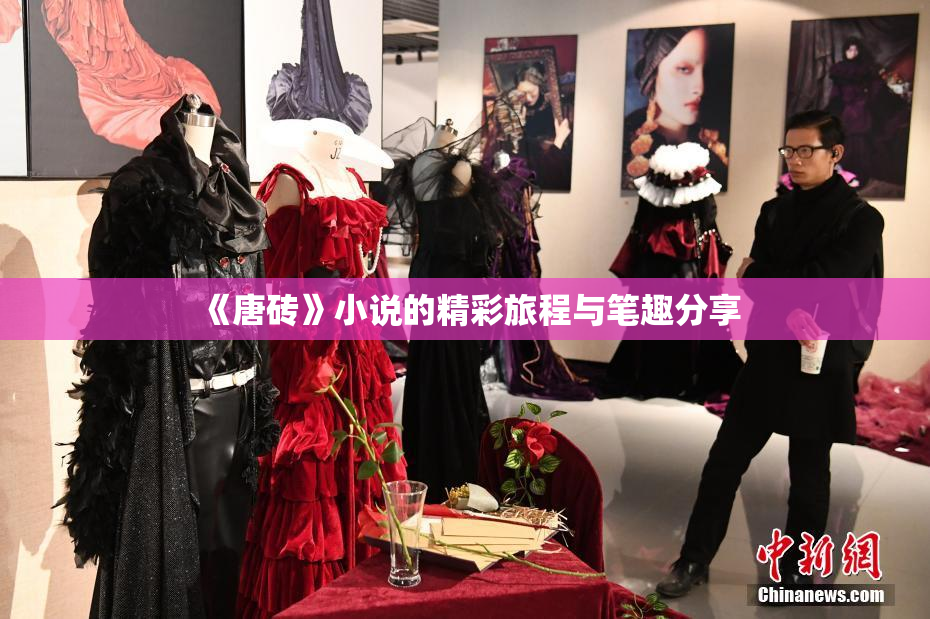 《唐砖》小说的精彩旅程与笔趣分享