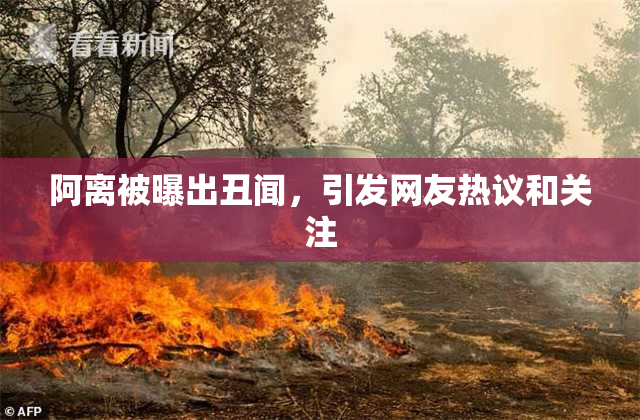 阿离被曝出丑闻，引发网友热议和关注