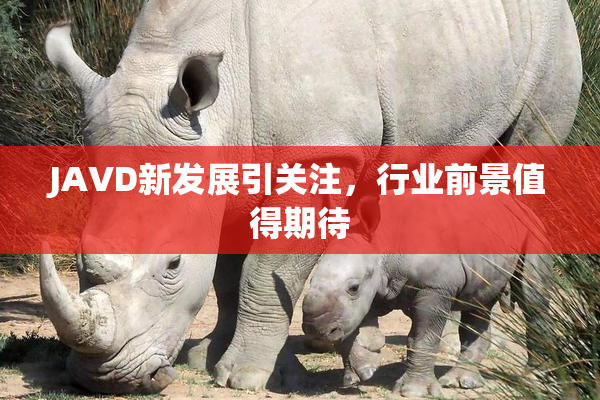 JAVD新发展引关注，行业前景值得期待