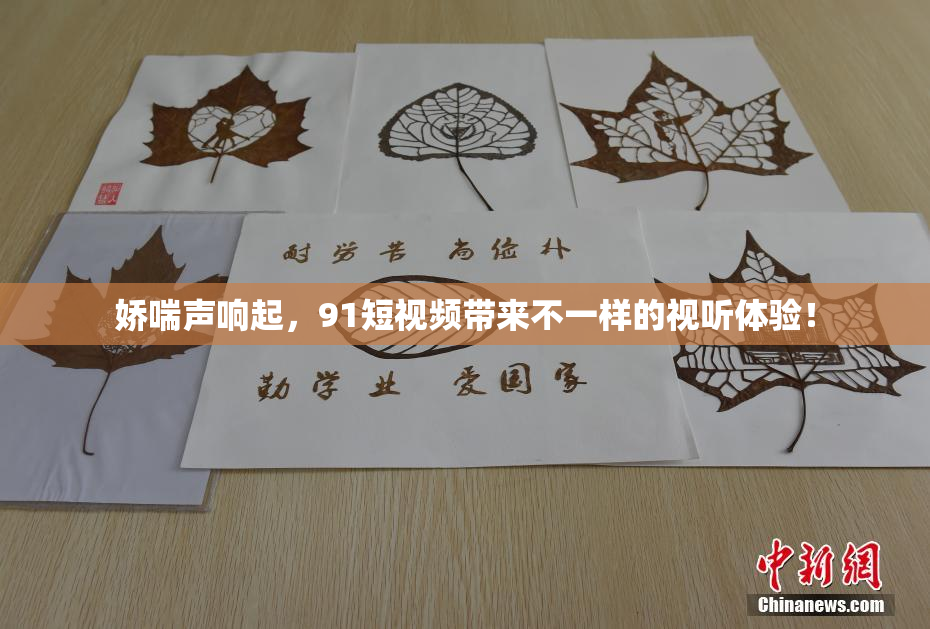 娇喘声响起，91短视频带来不一样的视听体验！