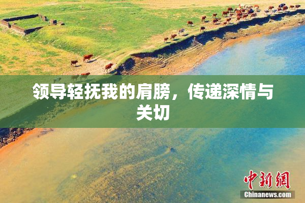 领导轻抚我的肩膀，传递深情与关切