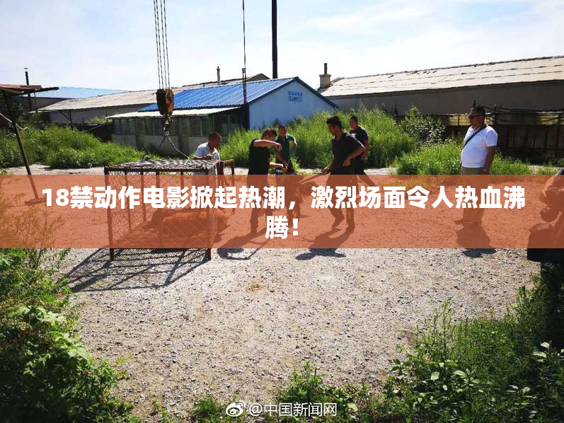 18禁动作电影掀起热潮，激烈场面令人热血沸腾！