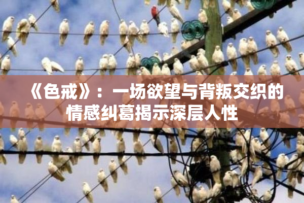 《色戒》：一场欲望与背叛交织的情感纠葛揭示深层人性