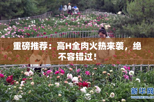 重磅推荐：高H全肉火热来袭，绝不容错过！