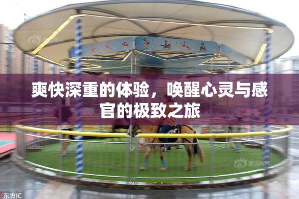 爽快深重的体验，唤醒心灵与感官的极致之旅